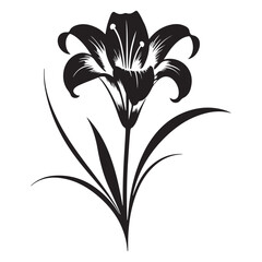 black and white lily vector illustration 