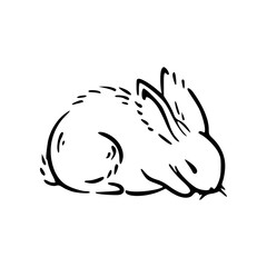 peaceful hare sketch