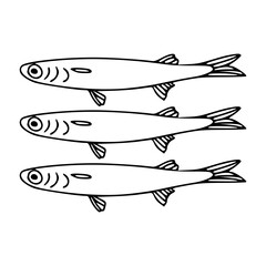 flat design anchovy design