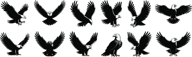 Detailed bald eagle silhouettes, flying and perched poses, vintage hawk illustration set, aggressive bird vector, retro wildlife raptor design

 flat vector illustration