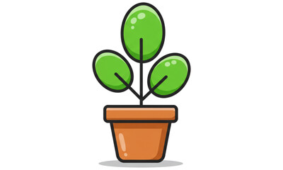 green plant in a pot