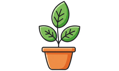 green plant in a pot