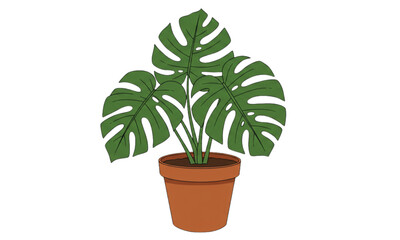 green plant in a pot