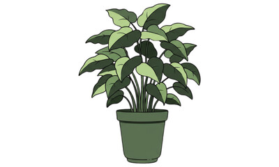 Obraz premium green plant in a pot