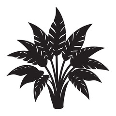 black and white flower