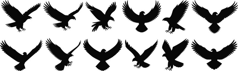 Obraz premium Silhouette of flying hawks, set of eagle vector illustrations, black bird symbols, aggressive flight pose, isolated predator icon collectionflat vector illustration