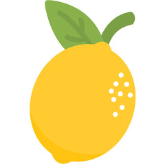 vector illustration of an orange