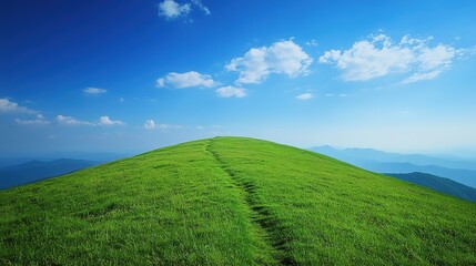 Naklejka premium green field and blue sky