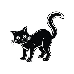 black cat on white background