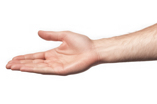 Open hand gesture png: offering, receiving, holding, empty, palm up, arm, skin, fingers, human body isolated on transparent background