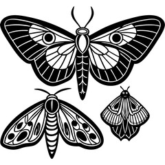 Moth Butterfly Line Art   Moth Butterfly Line Art      © MihirKumarMondal