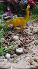 Ancient animal backgrounds showcase prehistoric creatures, revealing Earth’s distant past through dramatic, natural scenes