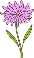 flower illustration