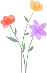 botanical illustration