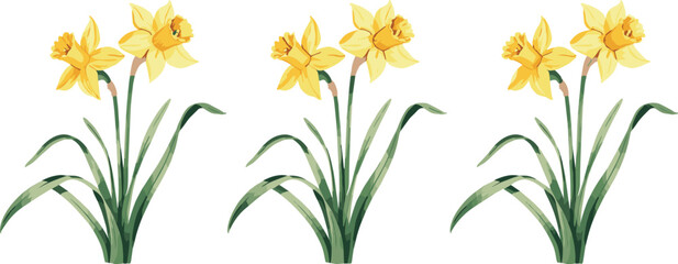 wheat ears Vectors illustrations