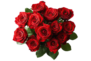 A Bouquet Of Twelve Deep Red Roses With Green Leaves Arranged In A Cluster Against A Transparent Background