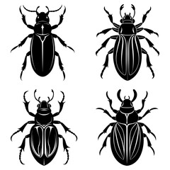 Four black beetle illustrations with detailed legs and body markings displayed on a white background