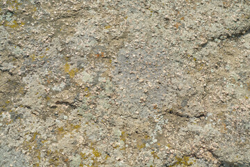 Close-Up of a Rock Covered with Lichen and Moss