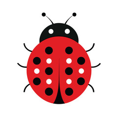Vector illustration of a simple red ladybug with black spots isolated on white background
