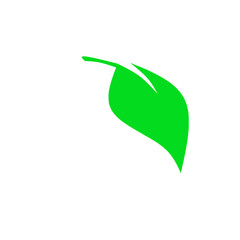 leaf vector