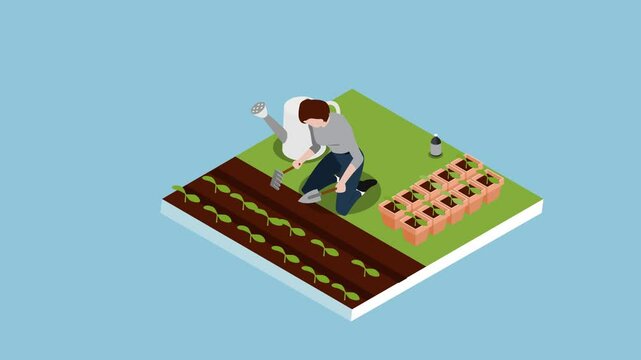 Urban Gardening &ndash; Isometric Illustration of Woman Planting and Growing Vegetables 3d animation cartoon