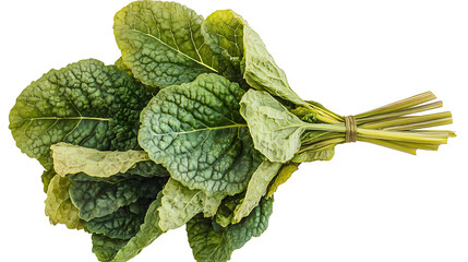 fresh green leaves