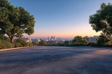 View of city skyline from asphalt surface with trees during sunset or sunrise time