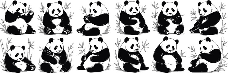 Cute panda eating bamboo, black and white bear sitting pose illustration, adorable wildlife animal drawing with bamboo forest vector background

 flat vector illustration