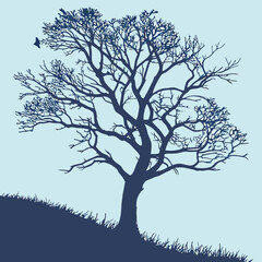 Bare tree silhouette against a pale blue sky with grassy ground