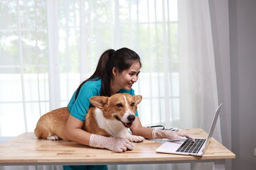 A female veterinarian examines a golden retriever indoors, providing medical care and comfort in a hospital setting focused on pet health.