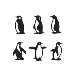 Fototapeta premium penguins icon set, penguins on a white background,penguins logo collection 