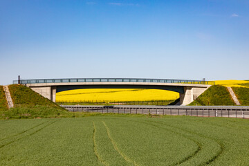scenic rural landscape in the lippe region near Detmold with bridge crossing a highway