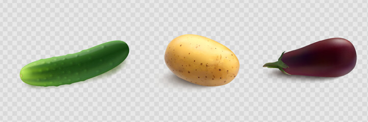 Cucumbers, coriander seeds, onions, potatoes, lettuce, zucchini, corn, tomato, asparagus. Vegetables 3d realistic vector set