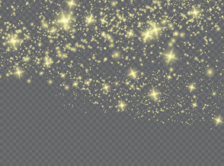 Sparkling magical dust particles . The dust sparks and golden stars shine with special light.