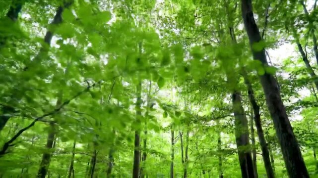 Film roll border with video file name placeholder