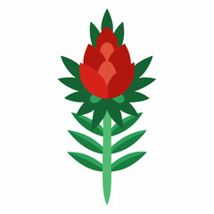 Yew flower on white background 