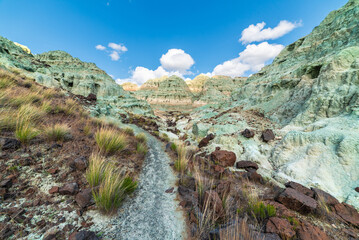 Trail Through Beautiful Blue Mountains