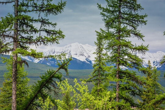 Hungry Horse Dam and reservoir in the Flathead Valley of Northwestern Montana