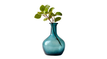 A blue glass vase holding a branch with green leaves against a dark black studio background image view