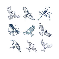 Bird icon and logo set vector. Adobe Illustrator Artwork