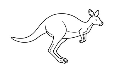 Fototapeta premium Outline kangaroo animal line art