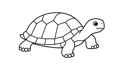 Outline turtle coloring page