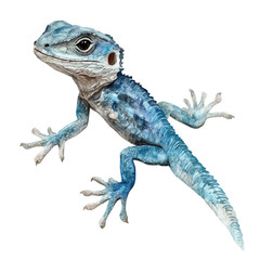 watercolor of Eastern Fence Lizard, vector, isolated on a white background.