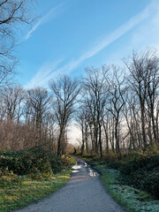 Hiking trail at Ohligser Heide natural reserve during a winter season in Solingen, North Rhine-Westphalia, Germany