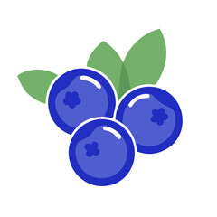 Simple blueberry illustration. Fruit. Anthocyanins. Vitamins.