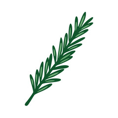 Fototapeta premium Simple illustration of rosemary. Line drawing. Aroma. Relaxation. Restful sleep. Herb. Plants.