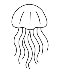Jellyfish Line Drawing Illustration