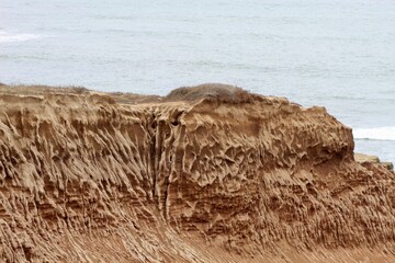 Cool bony skeletal rock formations at Cabrillo national monument park san diego california