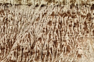 Cool bony skeletal rock formations at Cabrillo national monument park san diego california
