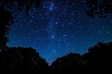 Stunning Night Sky with Stars and Dark Silhouetted Trees